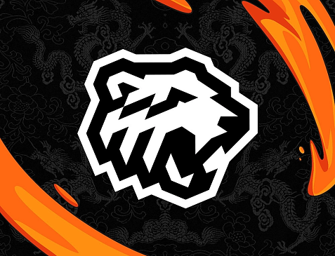 Ледовая арена «Трактор»