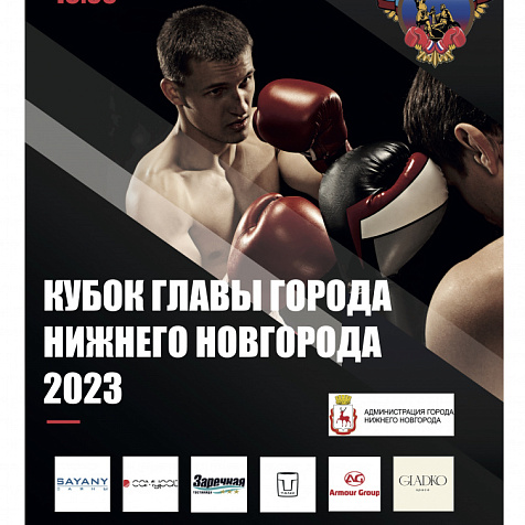 Кубок главы города Нижнего Новгорода по боксу