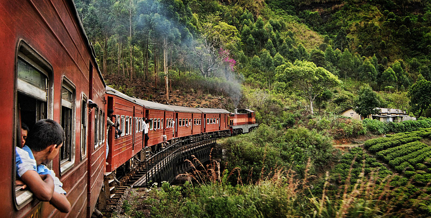 Шри-Ланка продолжит выдавать бесплатные визы россиянам в течение еще одного месяца
