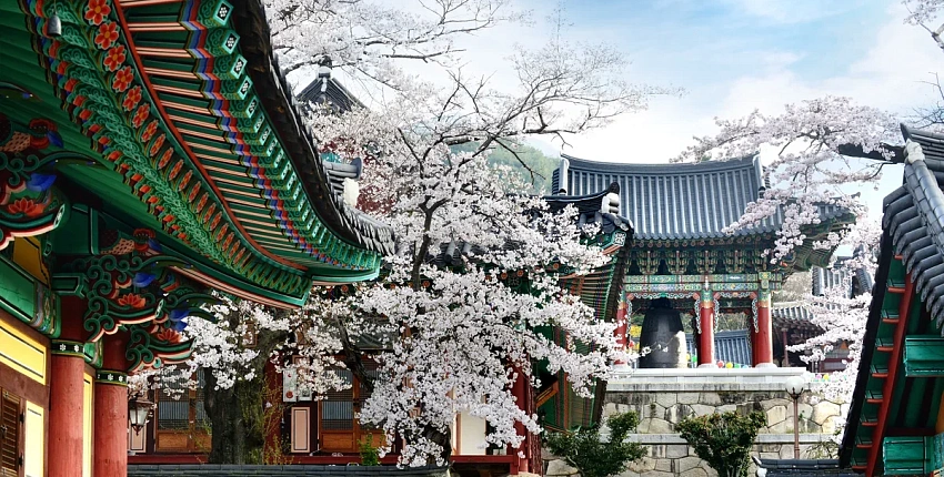 «Яндекс Путешествия» рассказали, куда выгодно улететь на майские праздники