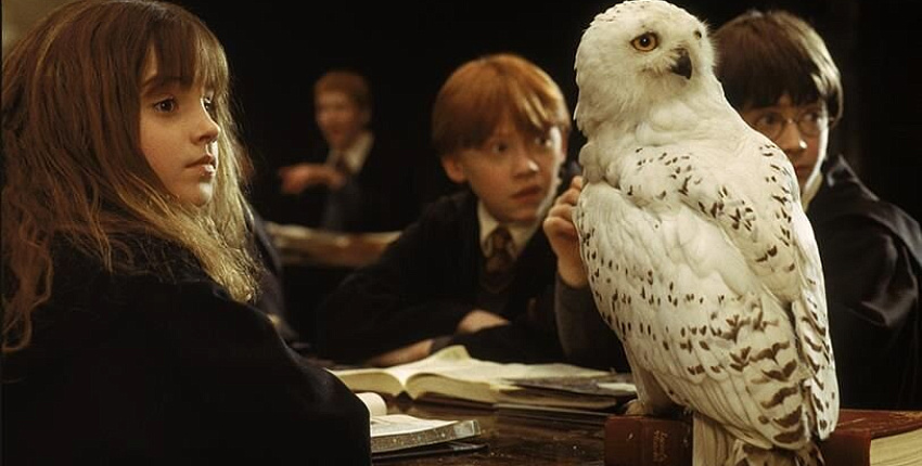 По Гарри Поттеру выпустят 7 аудиокниг с участием более 100 актеров