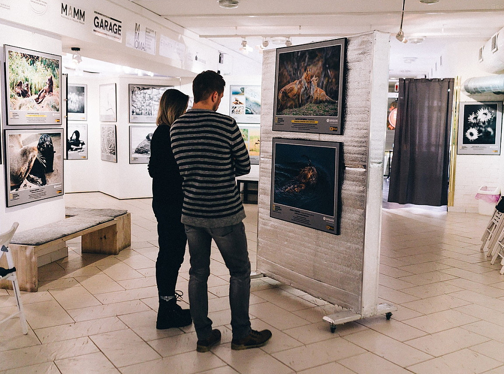 Галерея Прогресса