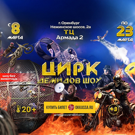 Цирковое шоу Демидовых