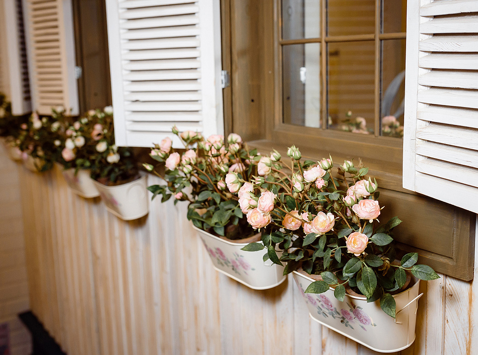 Семейное кафе «Франсуа» 