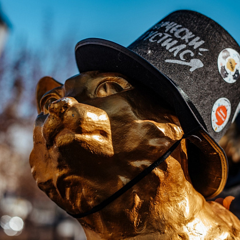 На тюменских кошках появились загадочные очки и цилиндры