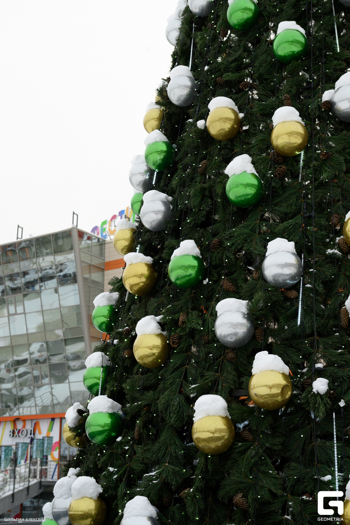 "Фестиваль черной субботы" 8