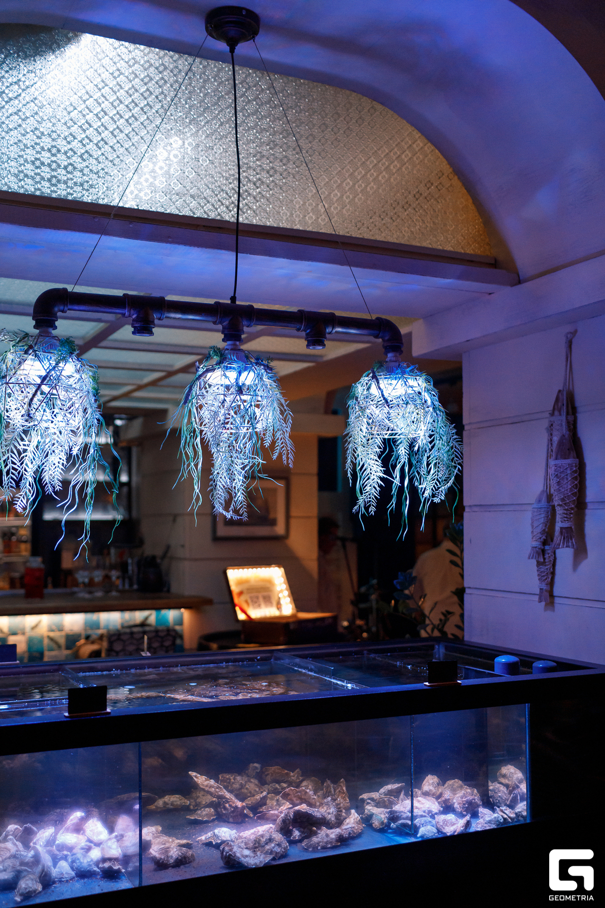 День Рождения Seafoodbar Баренц 25