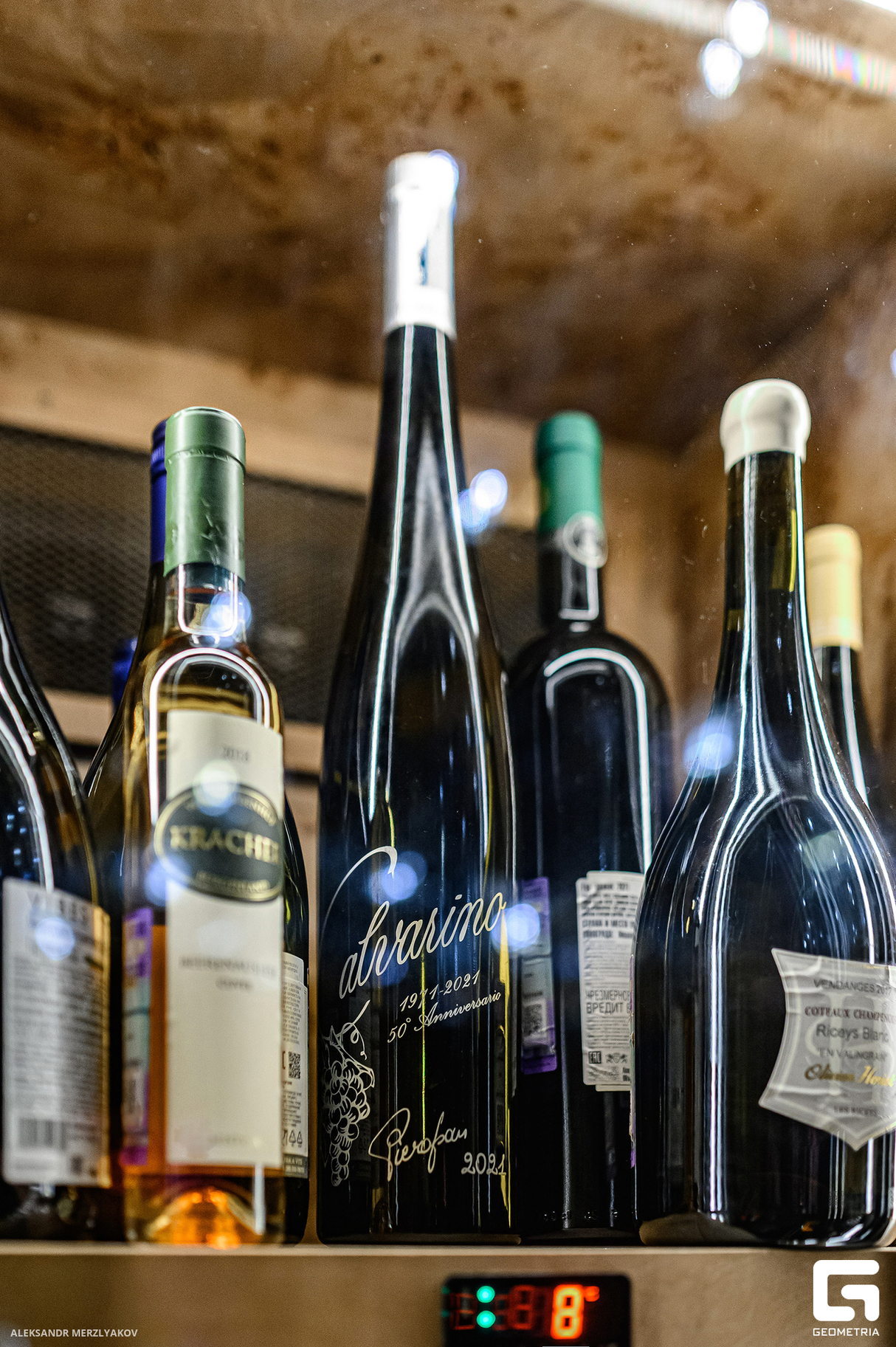 LEO N 17