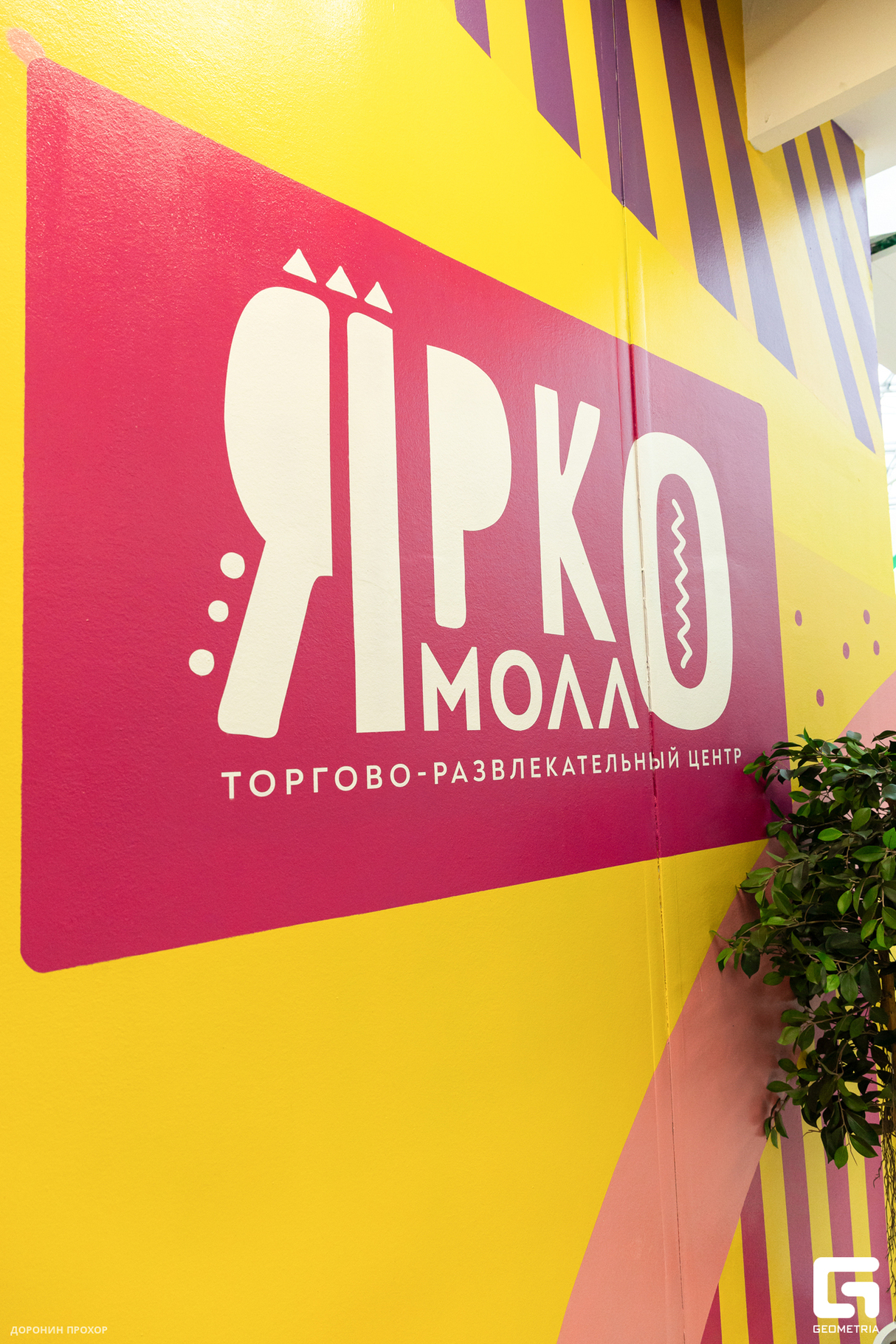 День семьи, любви и верности в ТРК «Яркомолл» 14