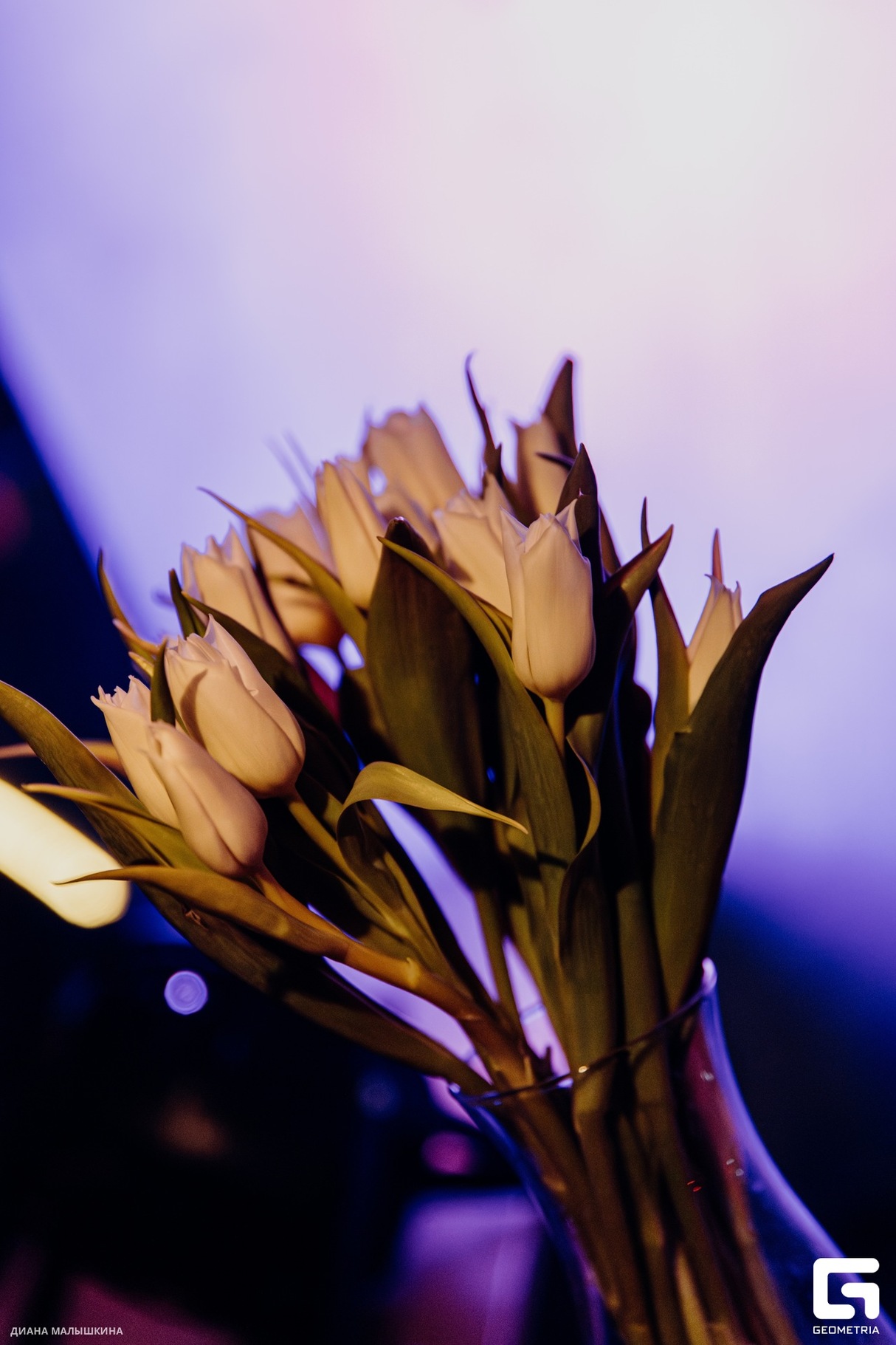 ПОДРУЖКИ 2010 22